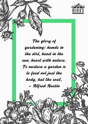 GloryGardening_olivias1000px