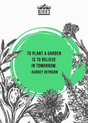 toplantagarden_oliviassolutions1000px