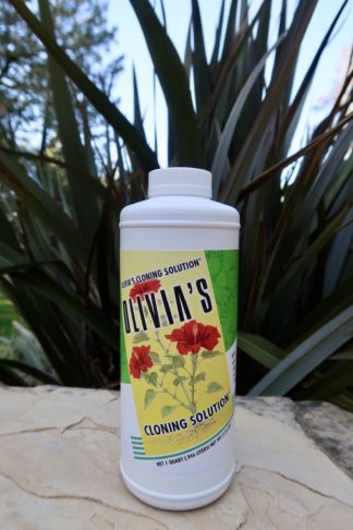 Olivia’s Cloning Solution Quart - 32oz